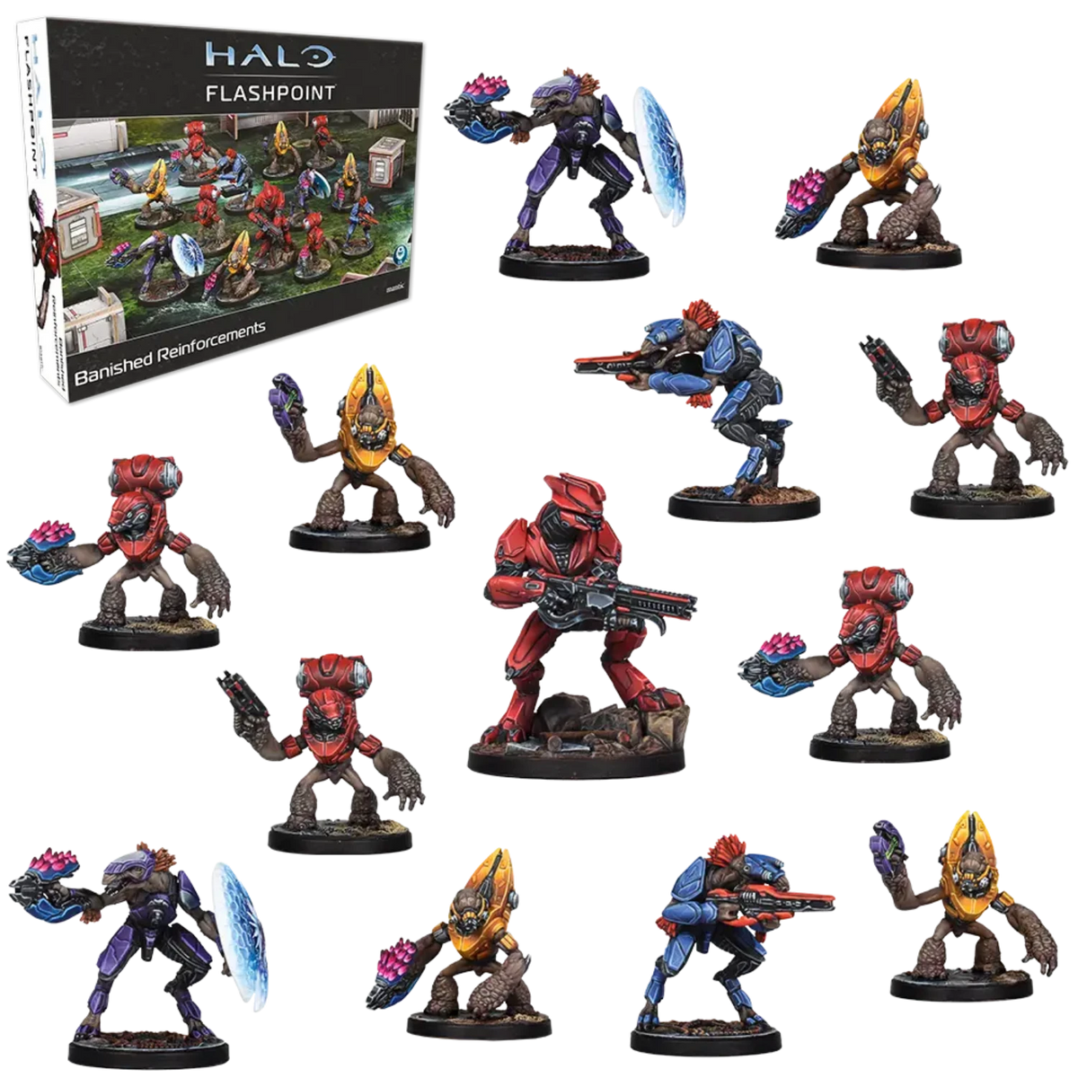 HALO: Flashpoint- Banished Reinforcements