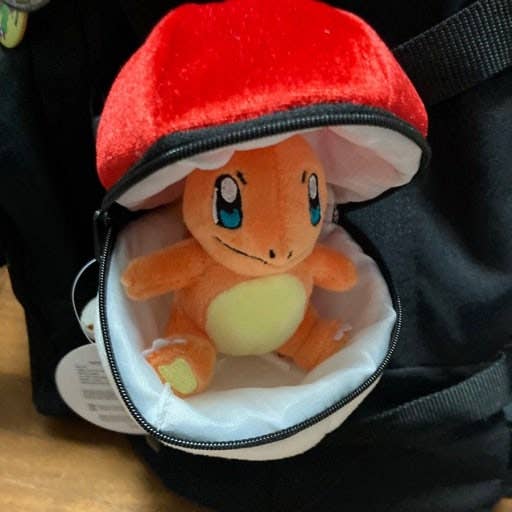 K-Wonderland - Pokemon Poké Ball Plush Pouch + Random Keychain 8cm SET