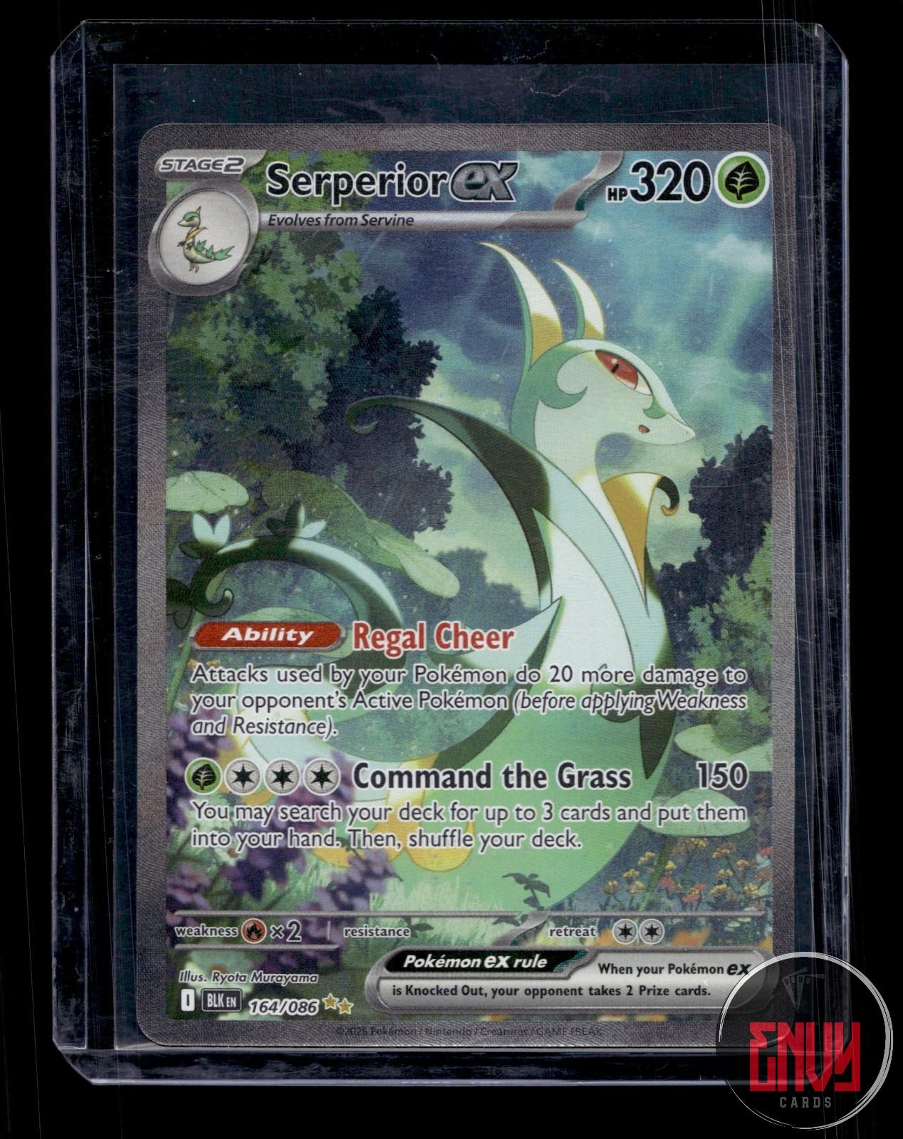 Serperior ex Near Mint 164/086 Special Illustration Rare Black Bolt Pokemon Holo