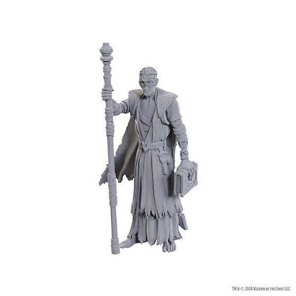 D&D Nolzur's Marvelous Miniatures: Special Edition Baldur's Gate 3- Volo & Withers