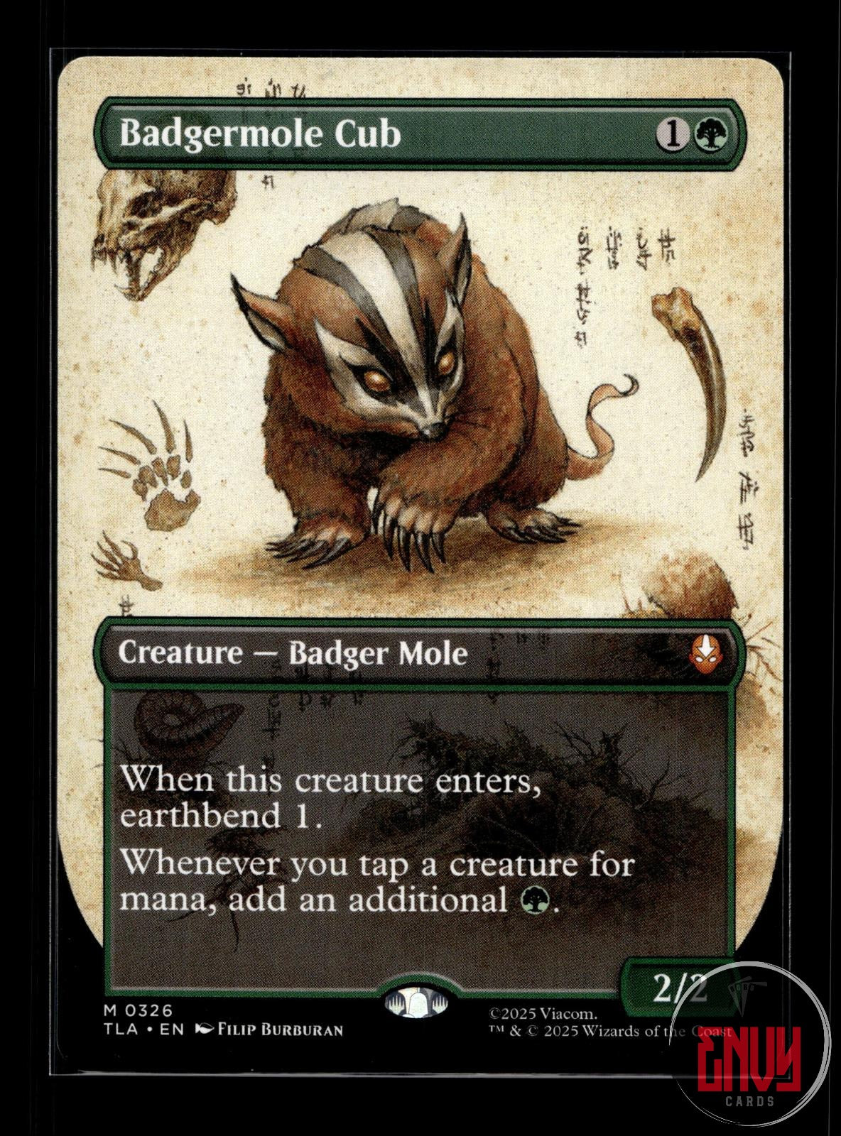 Badgermole Cub (Borderless) Near Mint 326 Mythic Avatar: The Last Airbender
