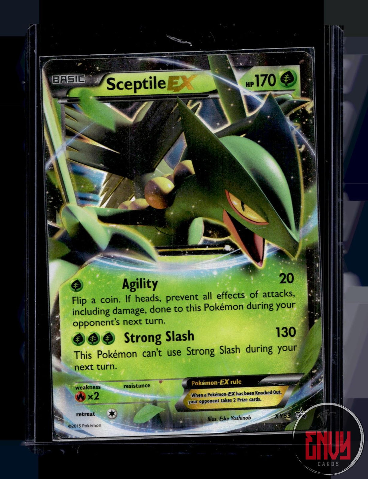 Sceptile EX MP XY53 P XY Promo Pokemon Holo