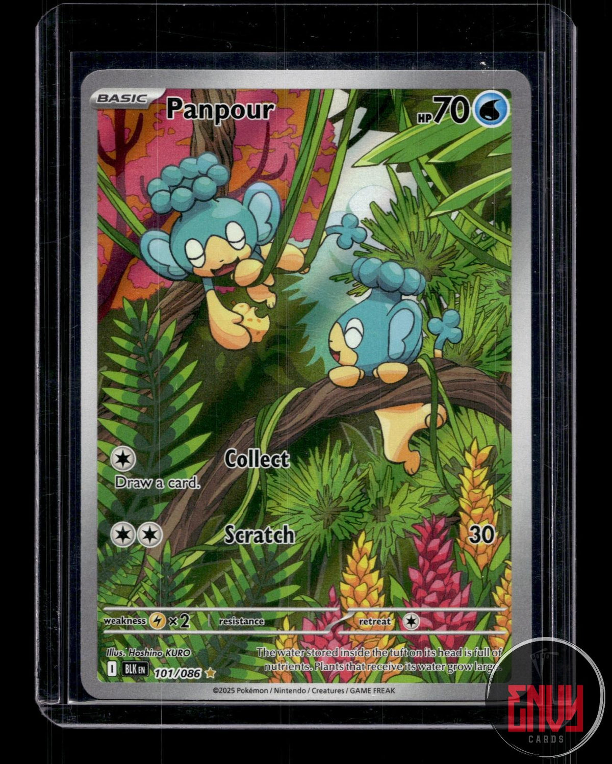 Panpour NM 101/086 IR Black Bolt Pokemon Holo