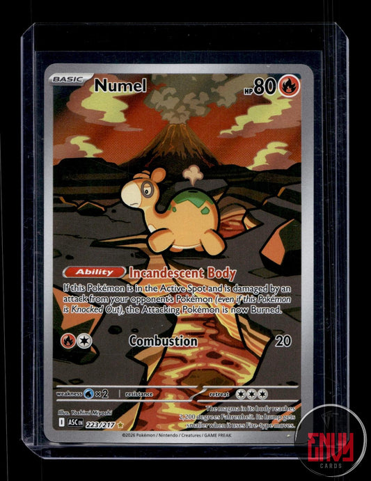 Numel Near Mint 223/217 Illustration Rare Ascended Heroes Pokemon