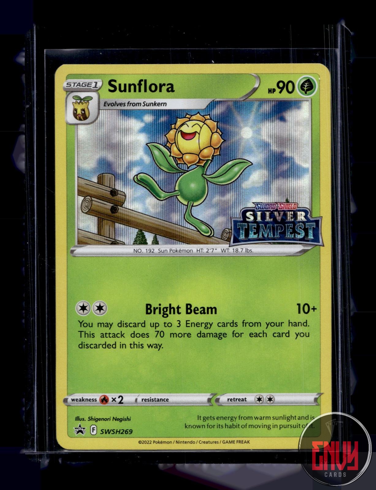 Sunflora (Prerelease) Near Mint SWSH269 Promo Sword & Shield Promo Pokemon Holo