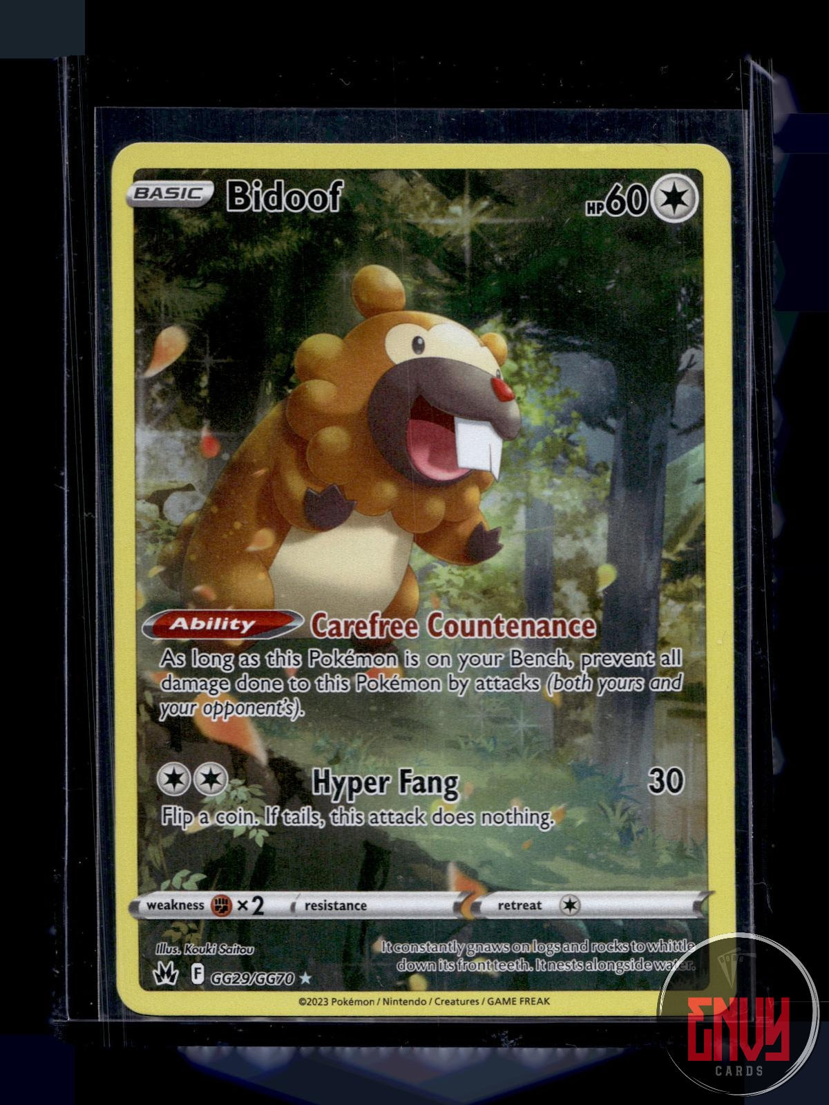 Bidoof NM GG29/GG70 TG Crown Zenith Galarian Gallery Pokemon Holo