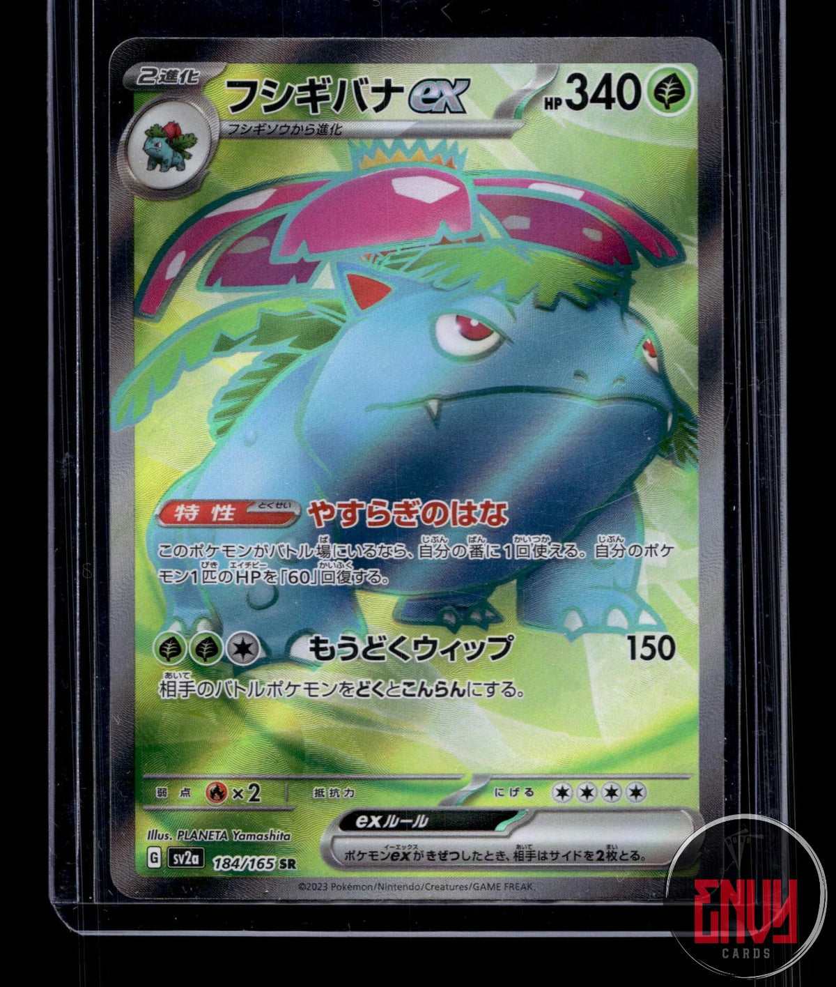 Venusaur ex NM 184/165 SR SV2a: Pokemon Card 151 Pokemon Japanese Holo