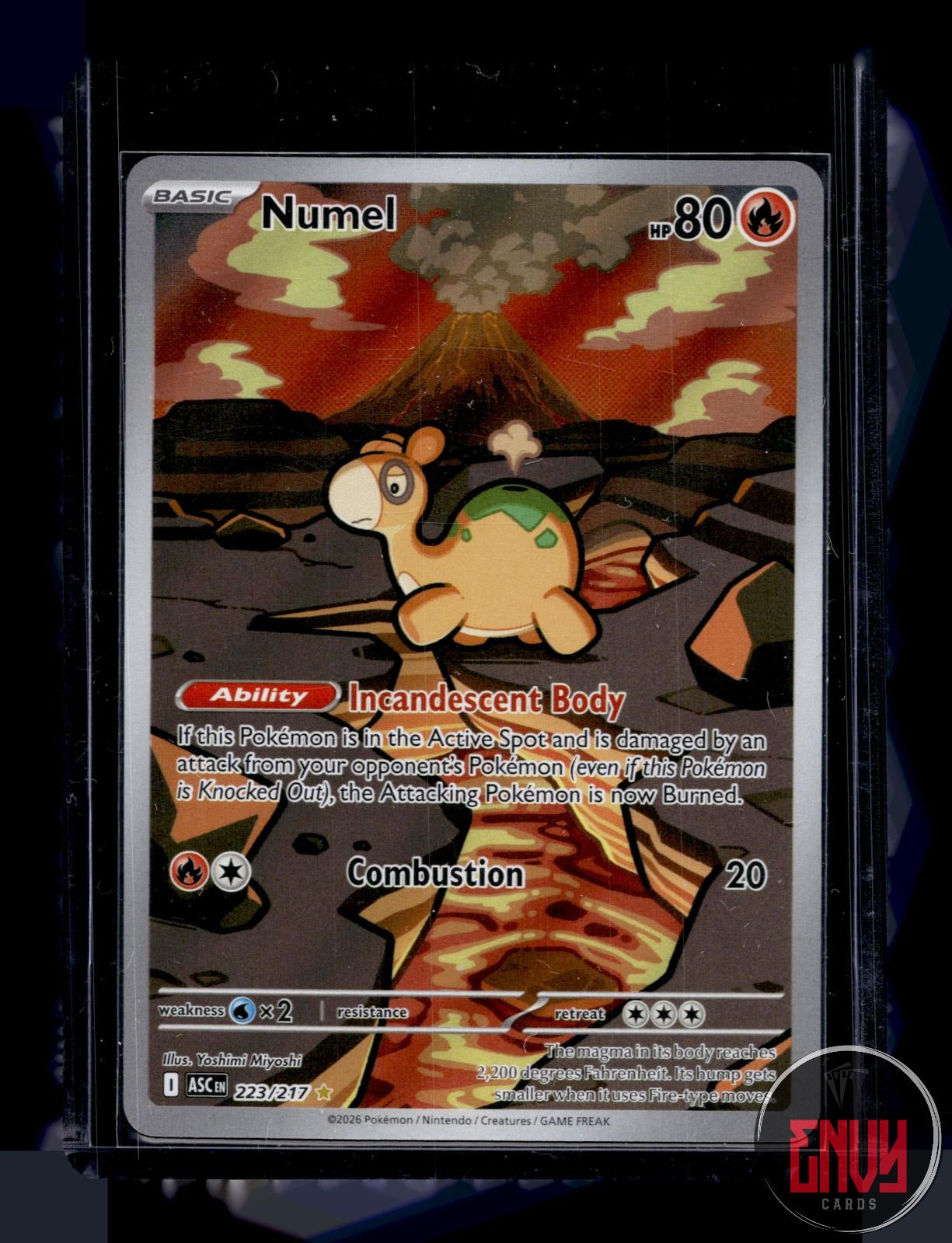 Numel Near Mint 223/217 Illustration Rare Ascended Heroes Pokemon