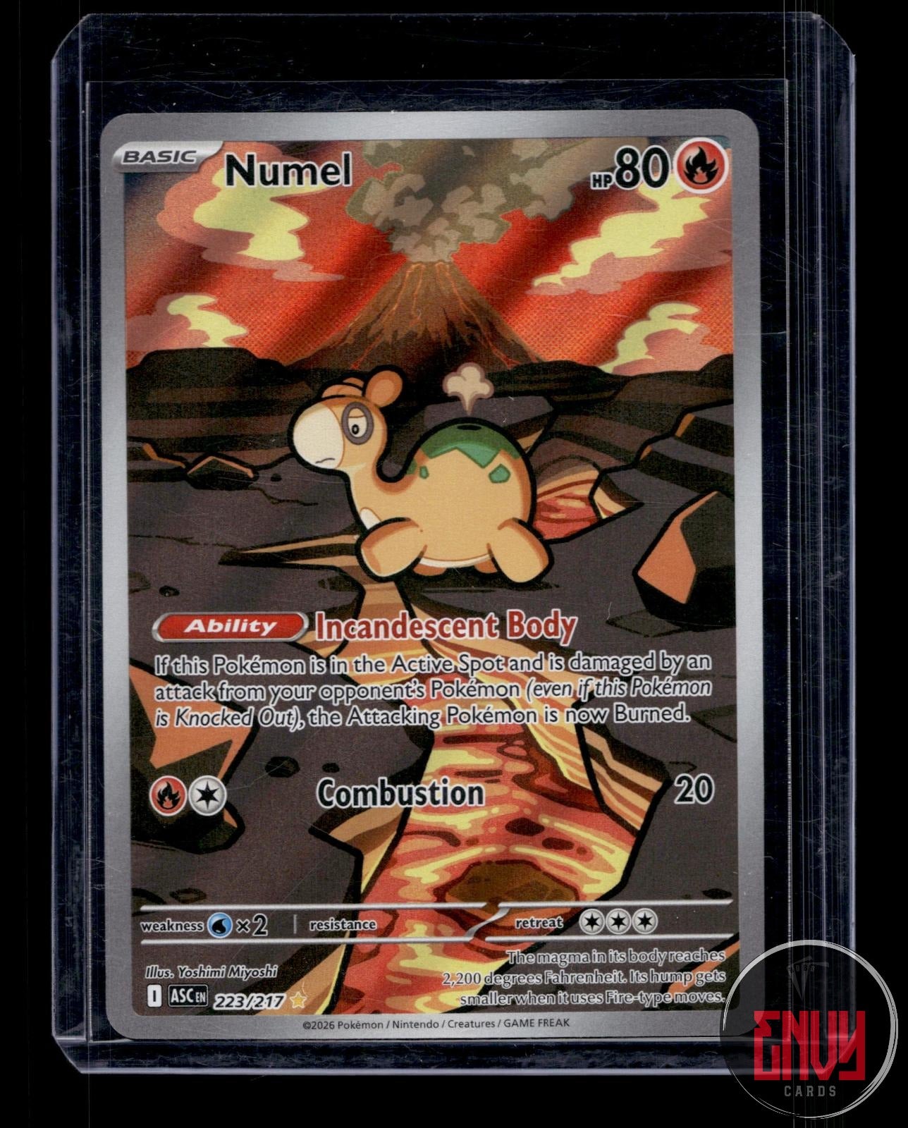 Numel Near Mint 223/217 Illustration Rare Ascended Heroes Pokemon