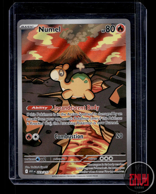Numel Near Mint 223/217 Illustration Rare Ascended Heroes Pokemon
