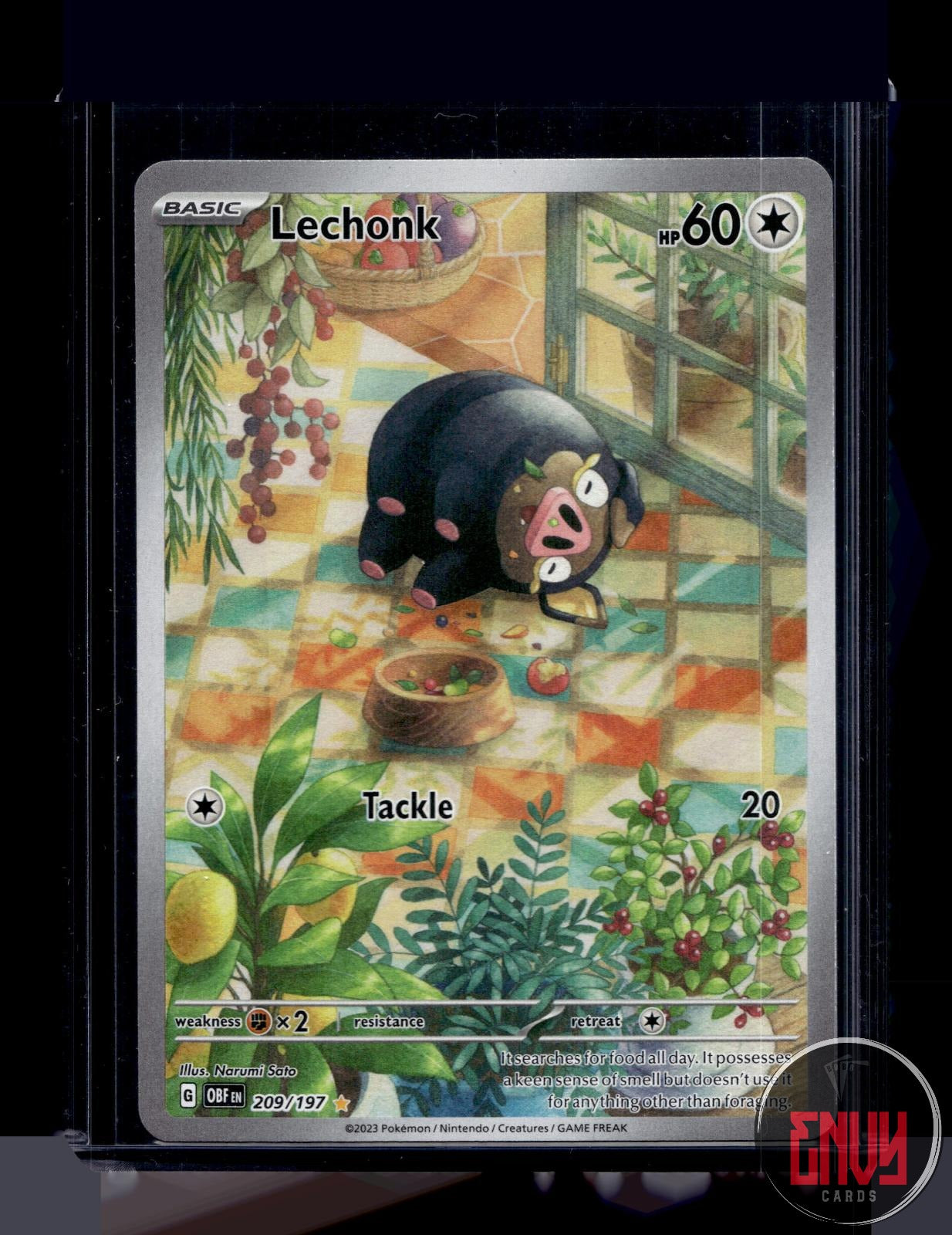 Lechonk Near Mint 209/197 Illustration Rare Obsidian Flames Pokemon Holo