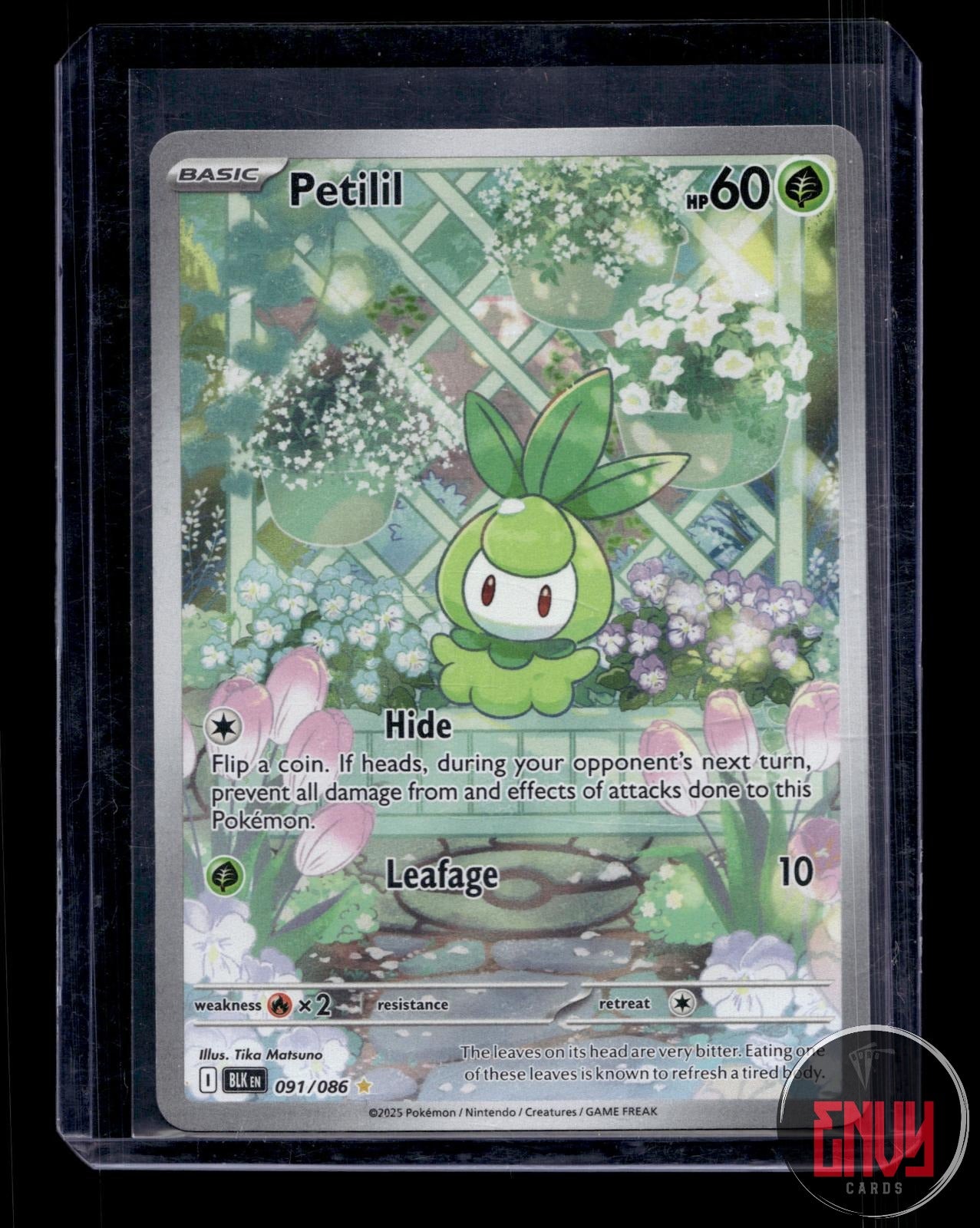 Petilil Near Mint 091/086 Illustration Rare Black Bolt Pokemon Holo