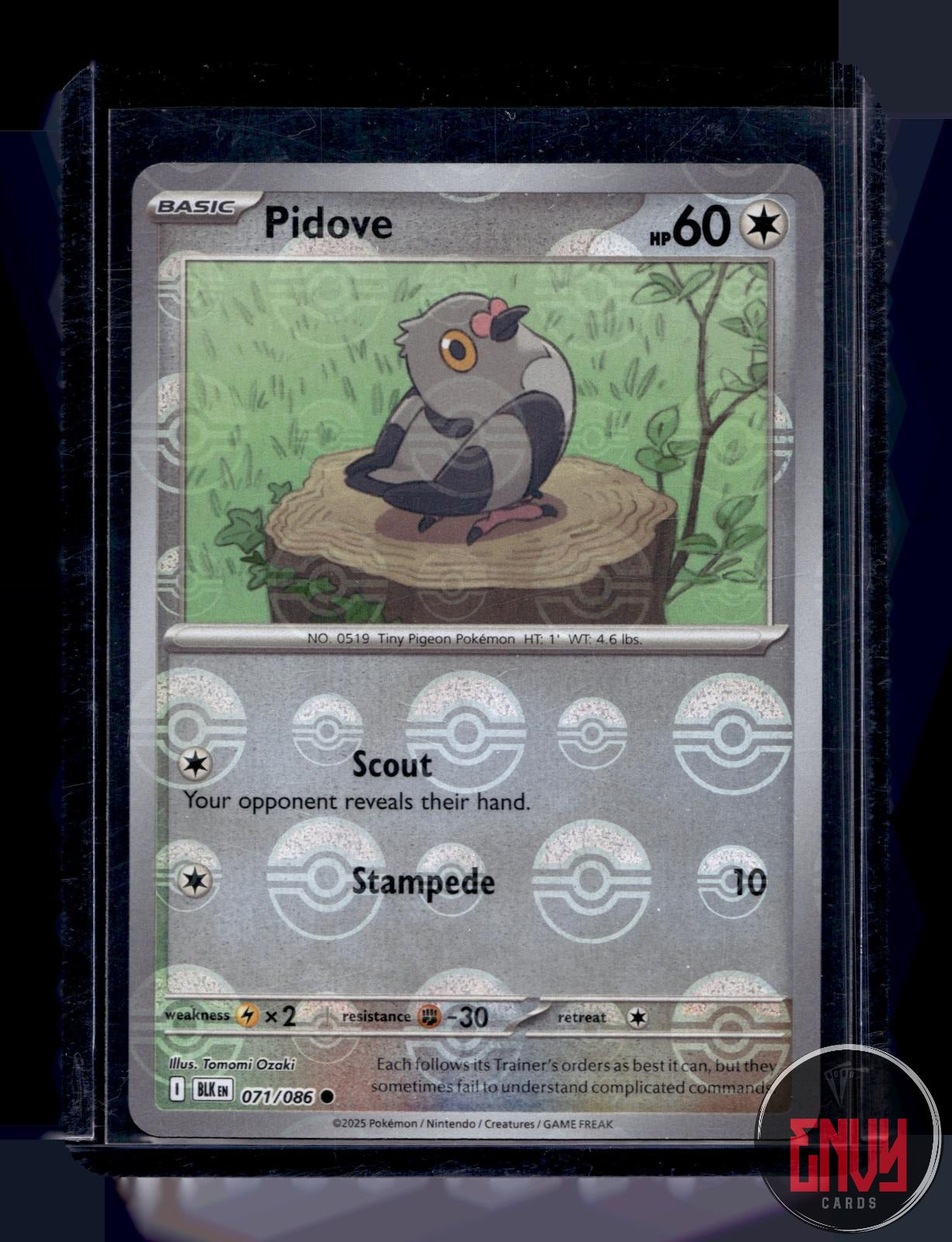 Pidove (Poke Ball Pattern) Near Mint 071/086 Common Black Bolt Pokemon