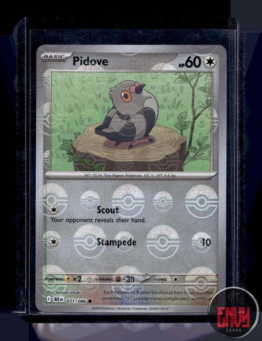 Pidove (Poke Ball Pattern) Near Mint 071/086 Common Black Bolt Pokemon
