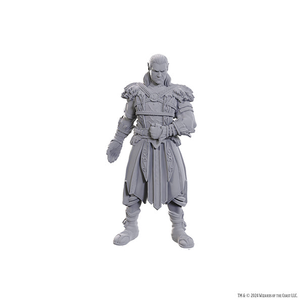 D&D Nolzur's Marvelous Miniatures: Special Edition Baldur's Gate 3- Jaheira & Halsin