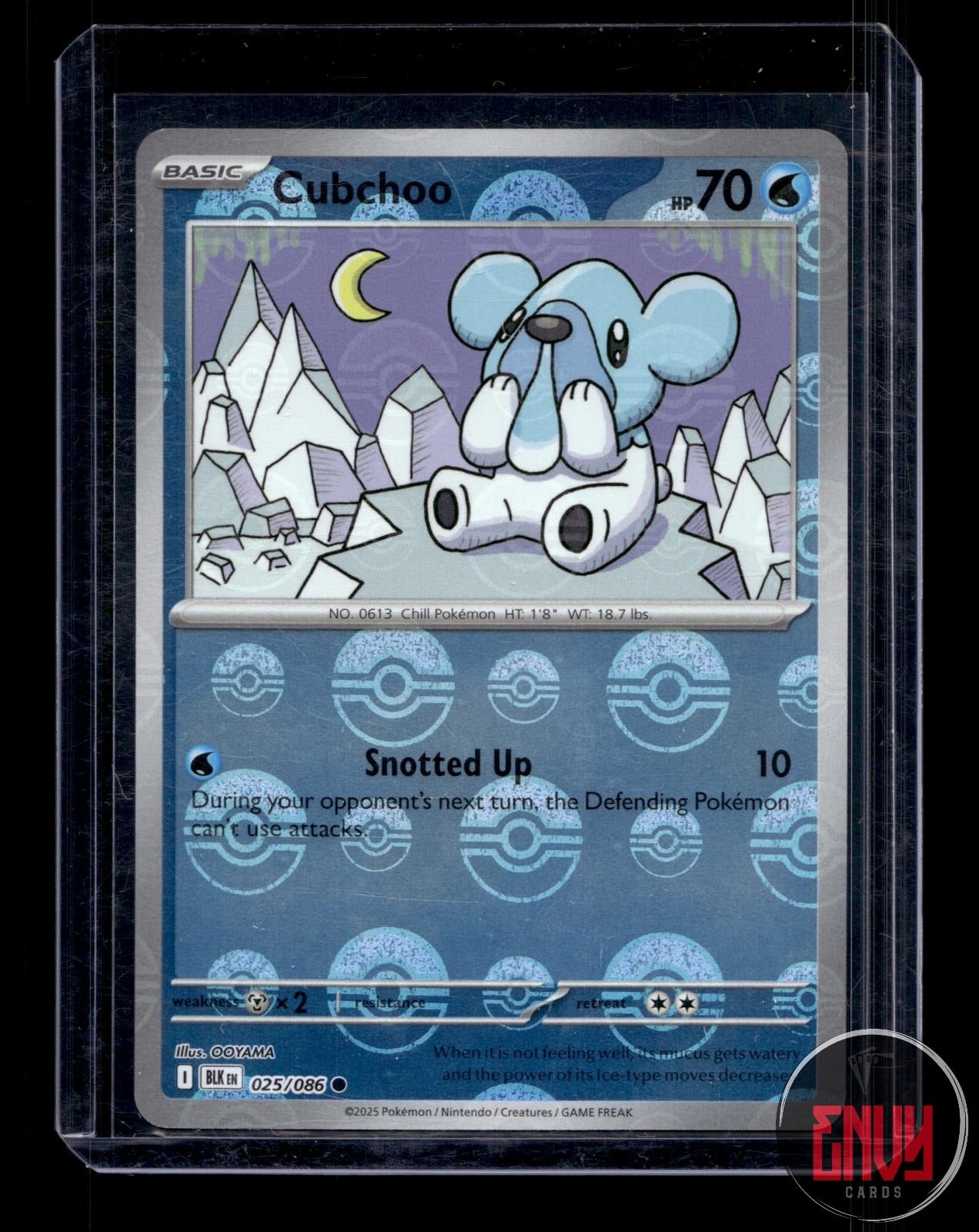 Cubchoo (Poke Ball Pattern) Near Mint 025/086 Common Black Bolt Pokemon Holo