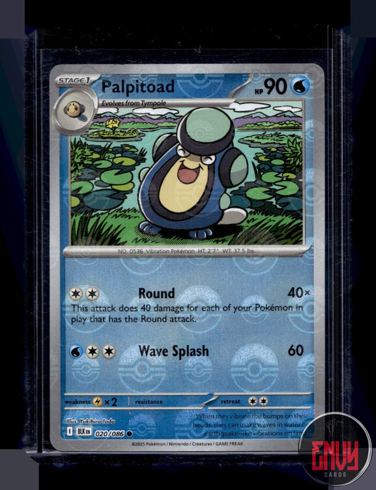 Palpitoad (Poke Ball Pattern) Near Mint 020/086 Common Black Bolt Pokemon Holo