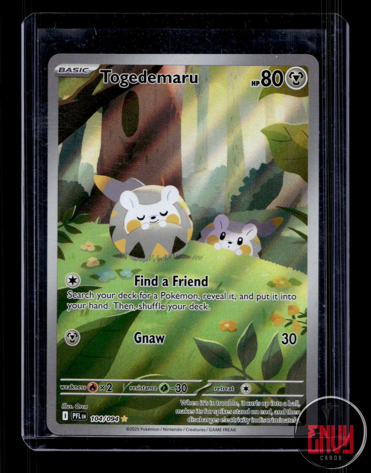Togedemaru Near Mint 104/094 Illustration Rare Phantasmal Flames Pokemon Holo