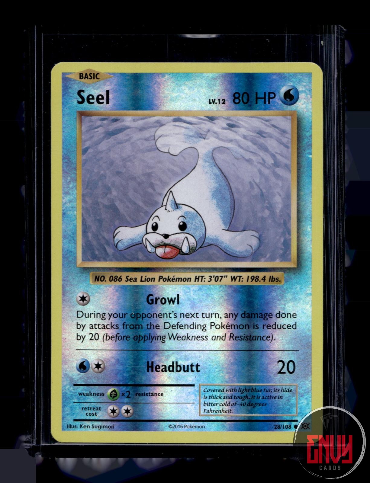 Seel Near Mint 28/108 Common Evolutions Pokemon Reverse Holo