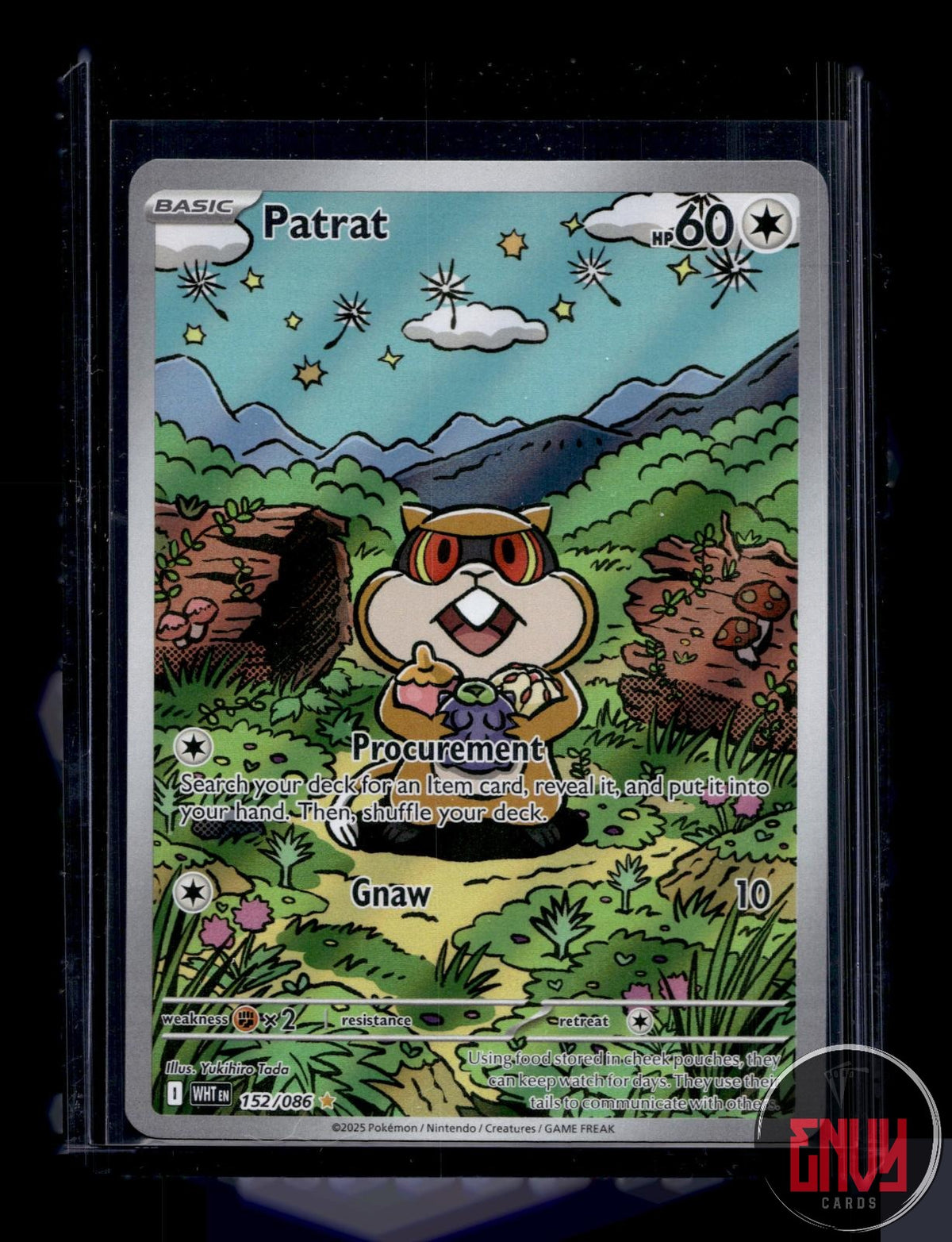 Patrat NM 152/086 IR White Flare Pokemon Holo