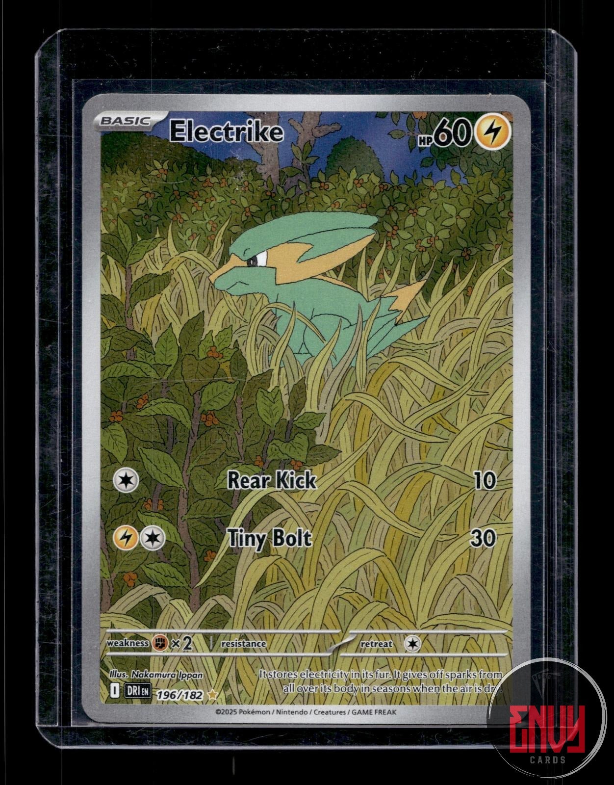 Electrike Near Mint 196/182 Illustration Rare Destined Rivals Pokemon
