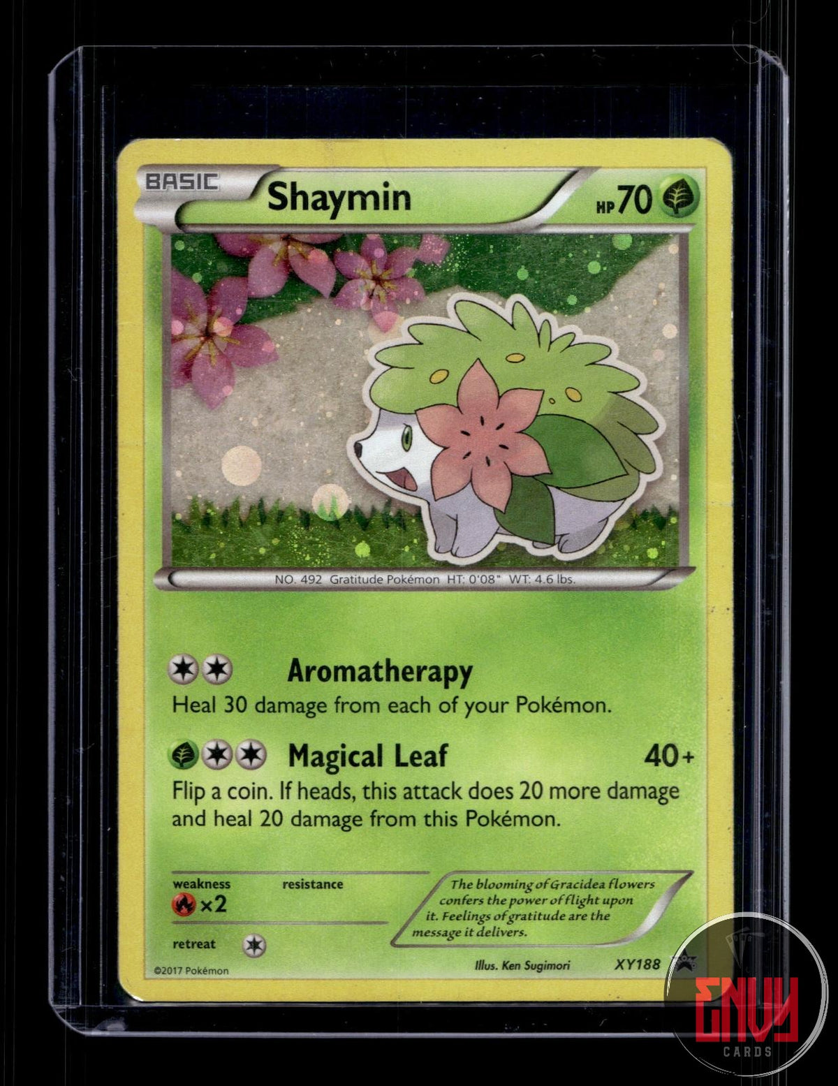 Shaymin Damaged XY188 Promo XY Promo Pokemon Holo