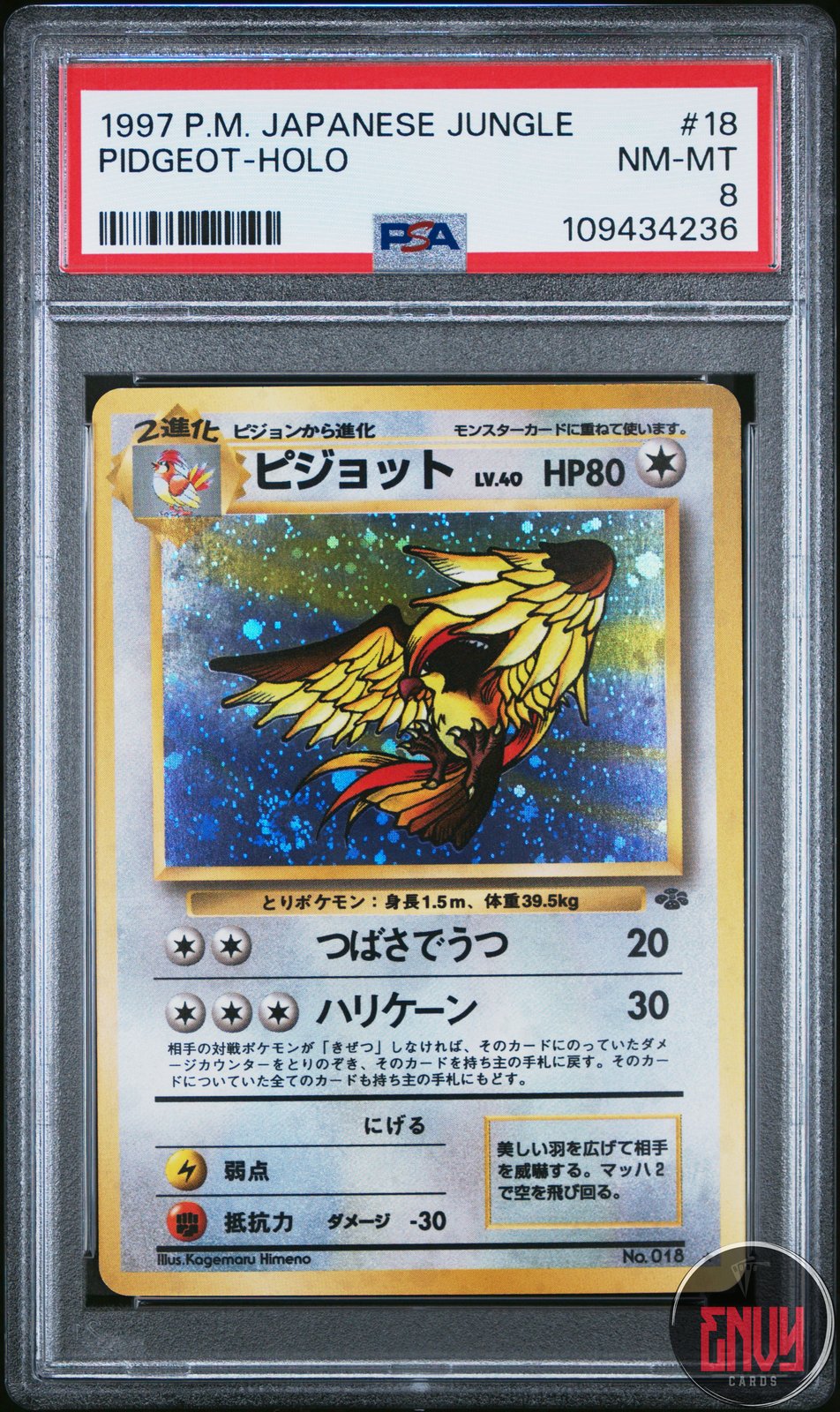 Pidgeot Holo 18 Jungle Pokemon Japanese PSA 8