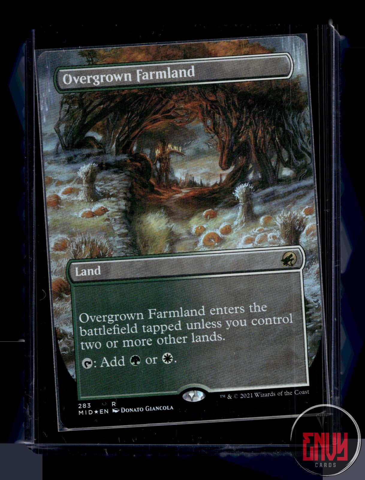 Overgrown Farmland (Borderless) NM 283 Innistrad: Midnight Hunt Foil