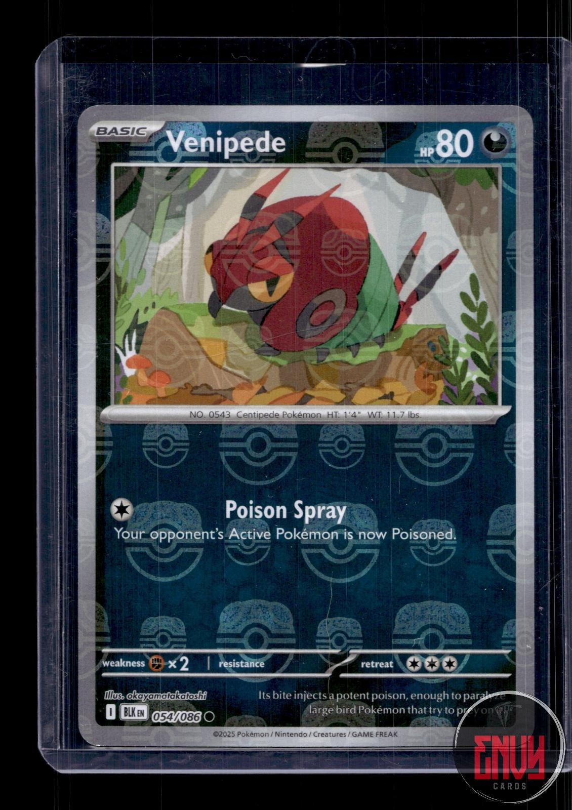 Venipede (Master Ball Pattern) NM 054/086 C Black Bolt Pokemon Holo