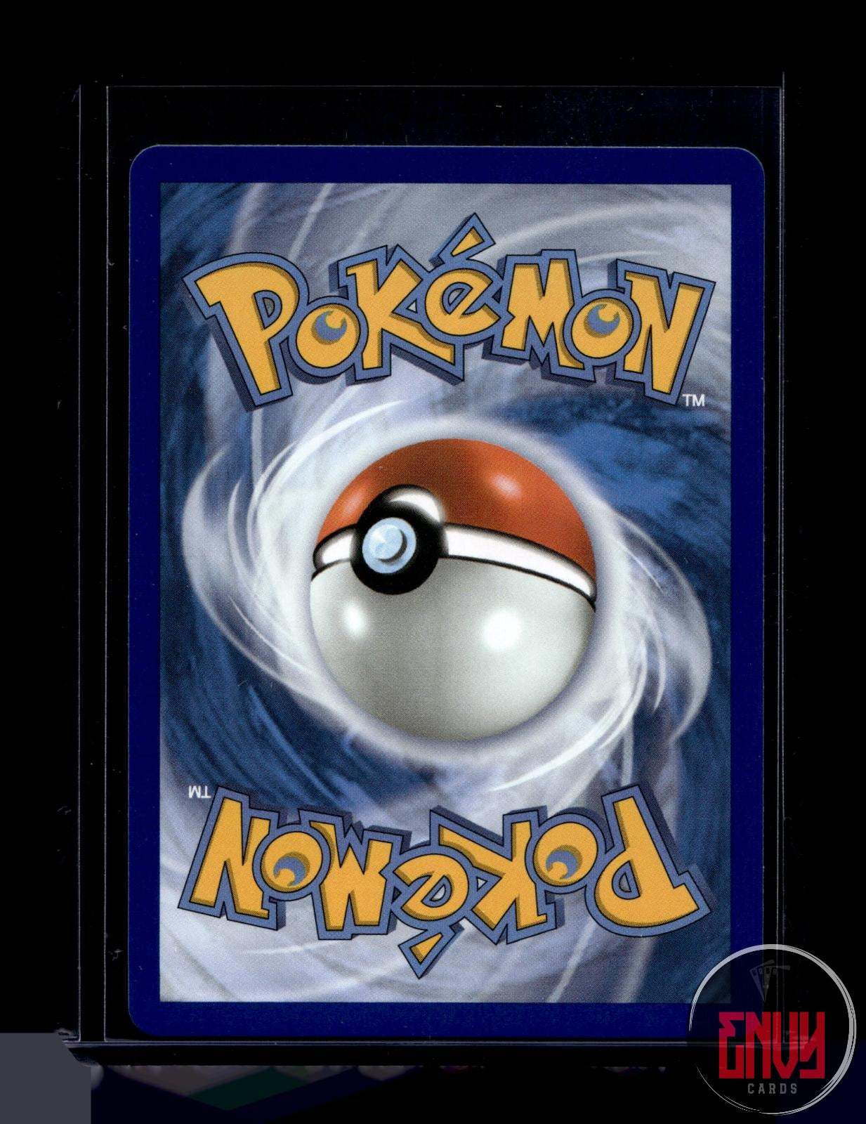 Turtwig Near Mint 040 Promo ME: Mega Evolution Promo Pokemon Holo