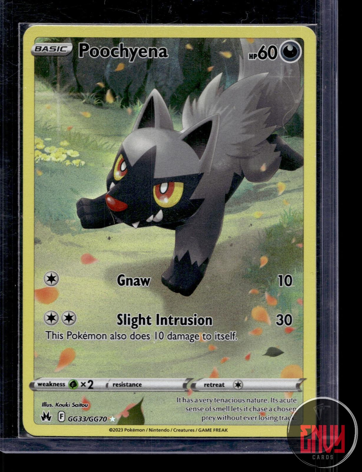 Poochyena NM GG33/GG70 TG Crown Zenith Galarian Gallery Pokemon Holo