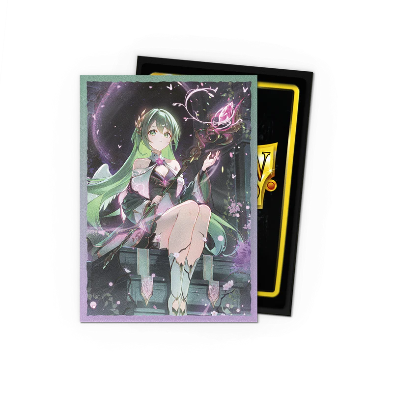 Dragon Shield: Sleeves 100 Count (Multiple Designs)