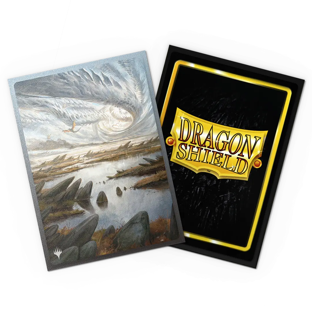 Dragon Shield: Sleeves 100 Count (Multiple Designs)