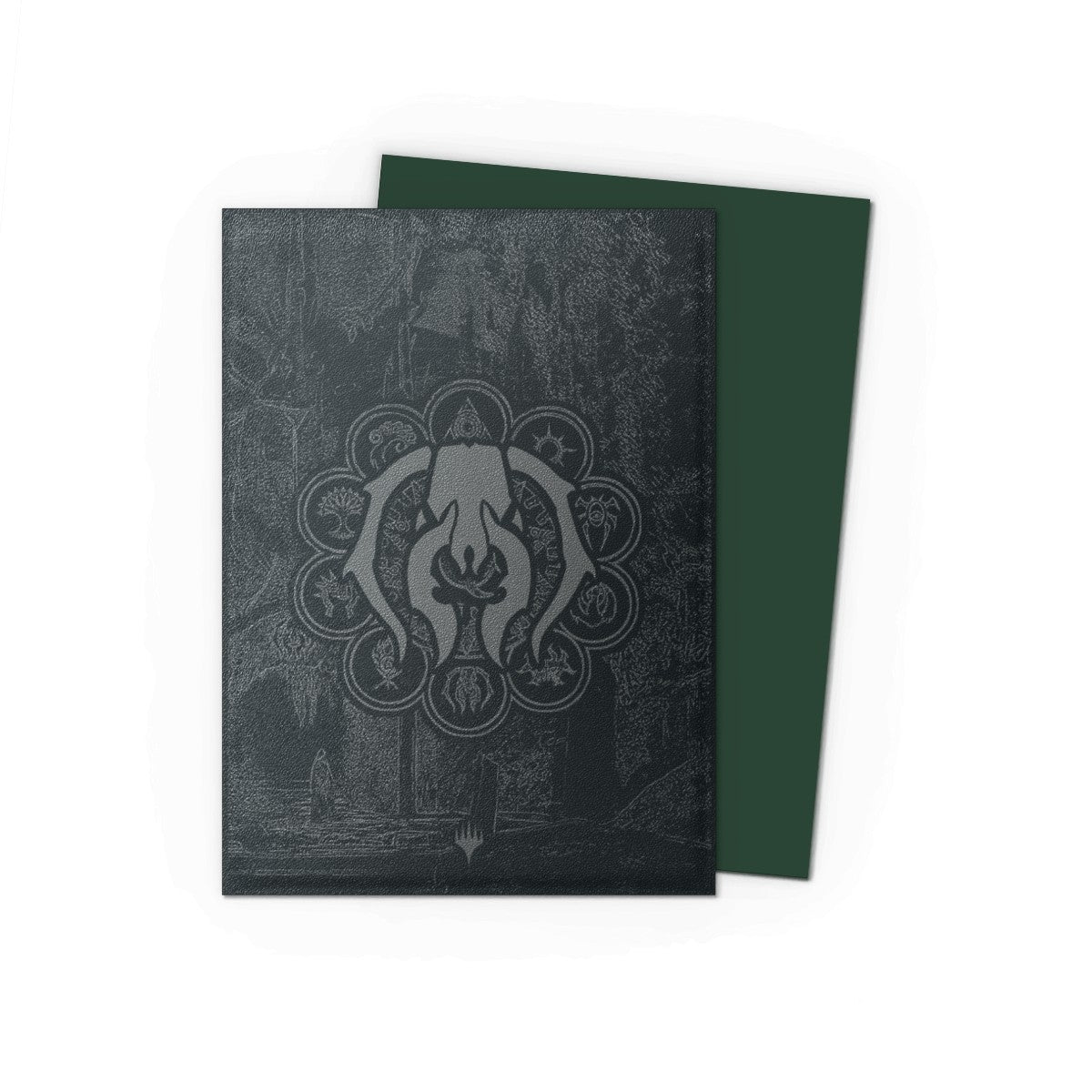 Dragon Shield: Sleeves 100 Count (Multiple Designs)