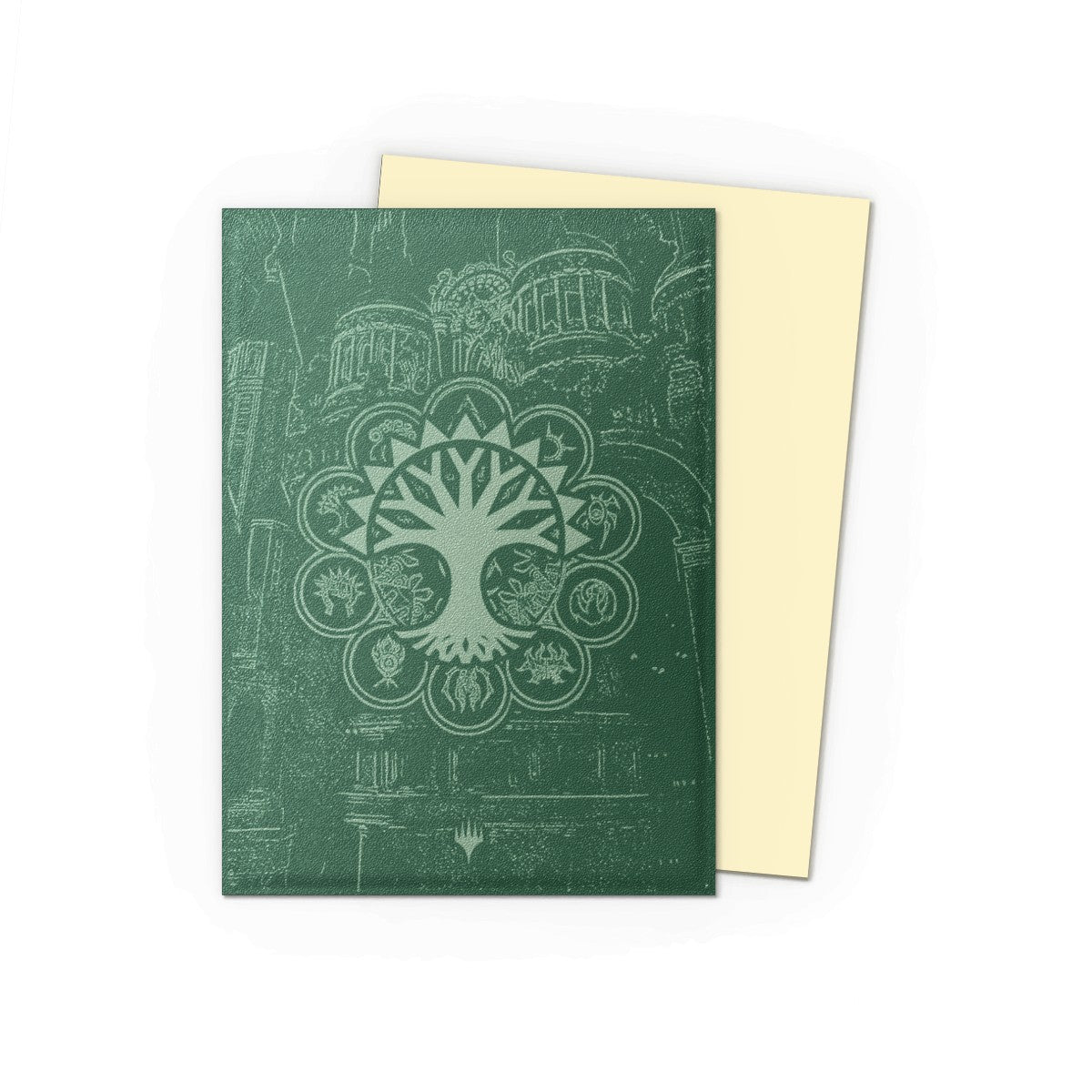 Dragon Shield: Sleeves 100 Count (Multiple Designs)