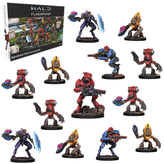 HALO: Flashpoint- Banished Reinforcements