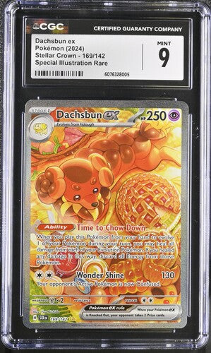 Dachsbun ex SIR Stellar Crown 169/142 CGC 9