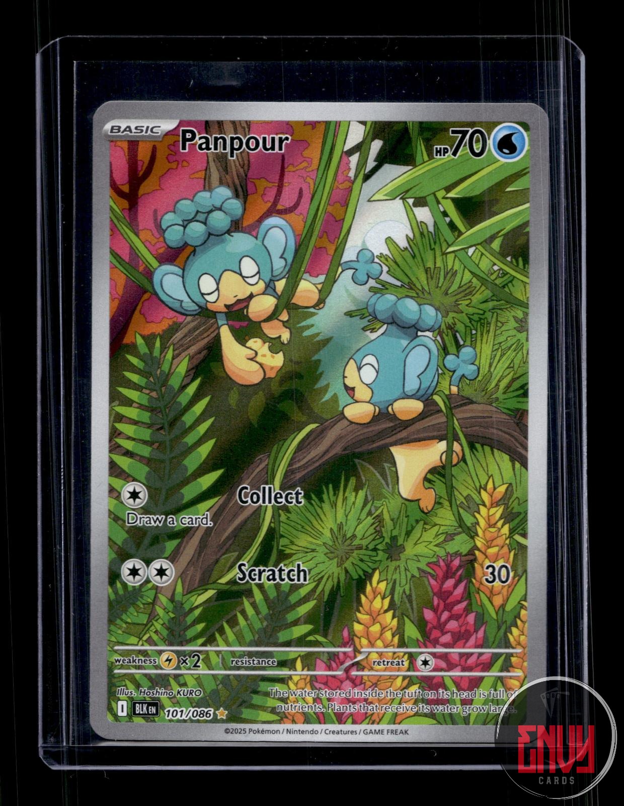 Panpour Near Mint 101/086 Illustration Rare Black Bolt Pokemon Holo