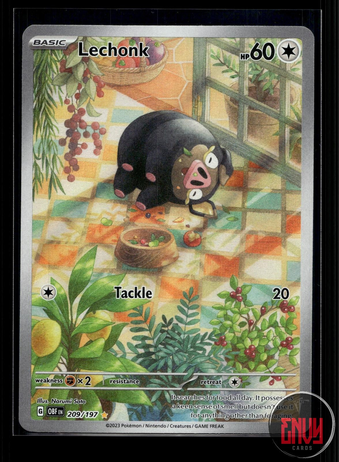 Lechonk NM 209/197 IR Obsidian Flames Pokemon Holo
