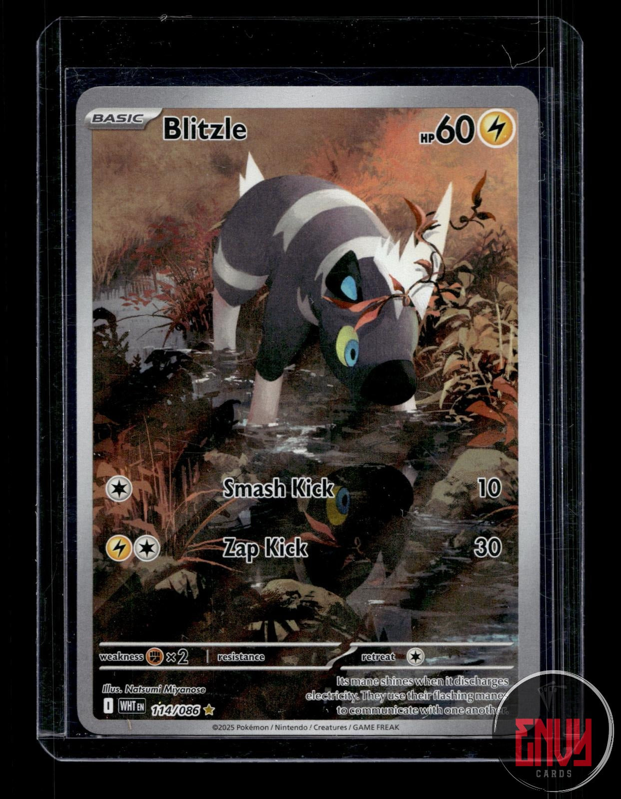 Blitzle Near Mint 114/086 Illustration Rare White Flare Pokemon