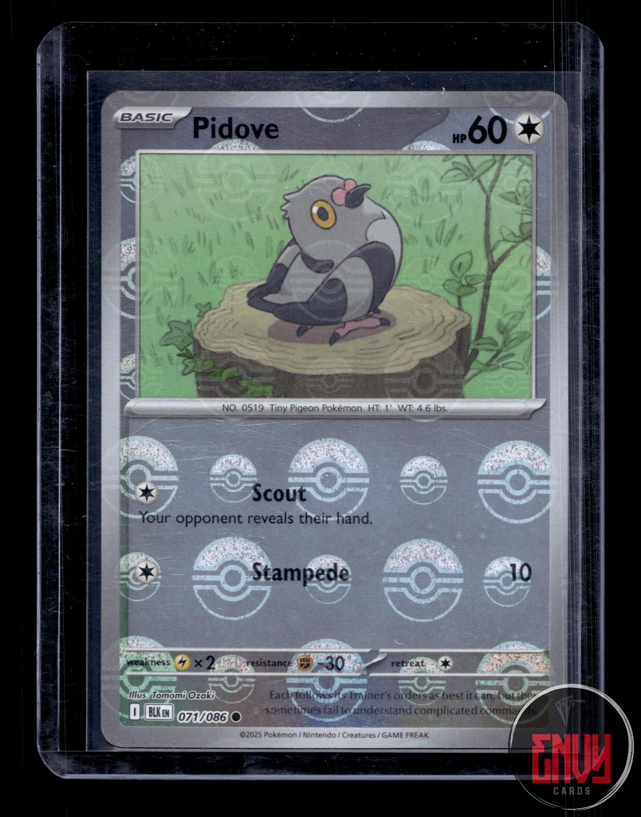 Pidove (Poke Ball Pattern) Near Mint 071/086 Common Black Bolt Pokemon Holo