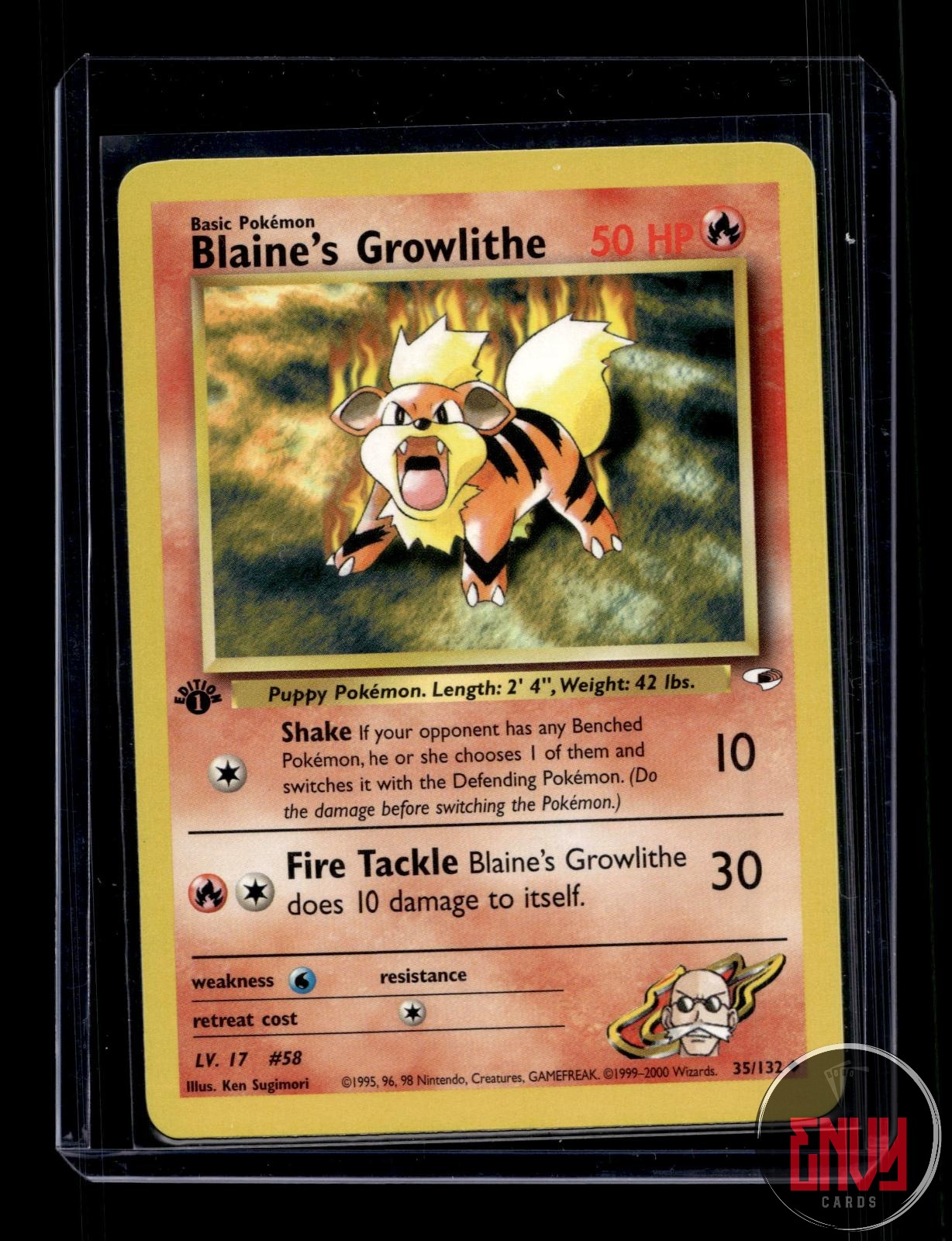 Blaine's Growlithe Lightly Played 35/132 Uncommon Gym Heroes Pokemon 1st Edition