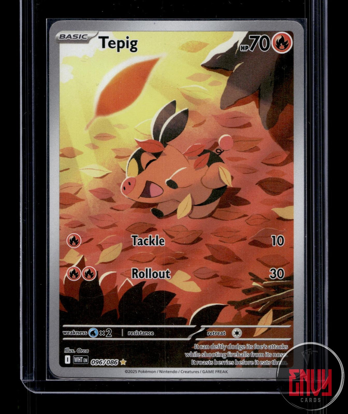 Tepig NM 096/086 IR White Flare Pokemon Holo