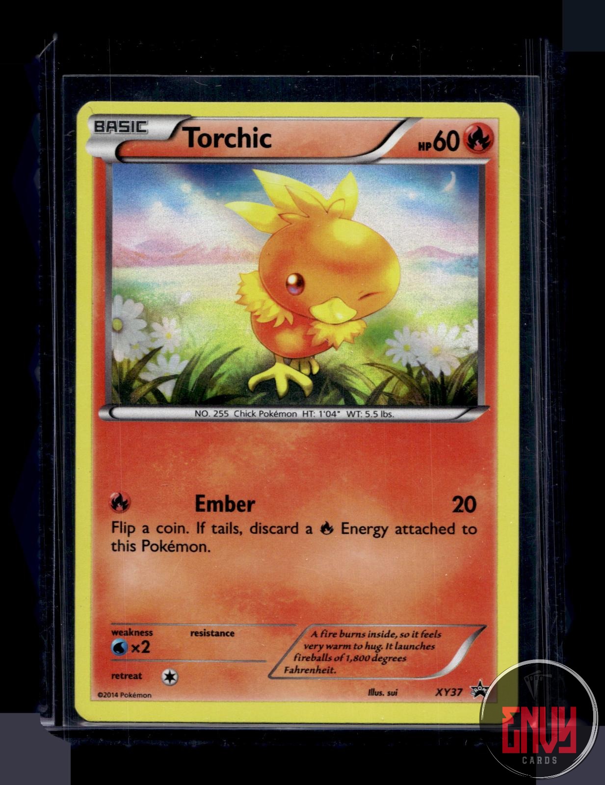 Torchic Lightly Played XY37 Promo XY Promo Pokemon