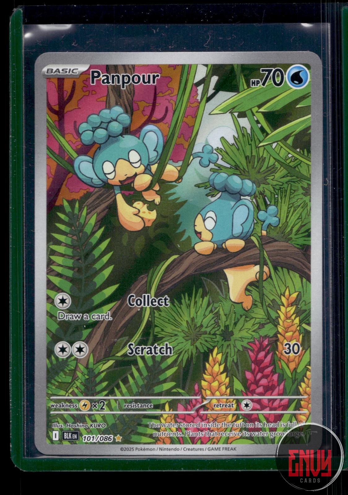 Panpour Near Mint 101/086 Illustration Rare Black Bolt Pokemon Holo