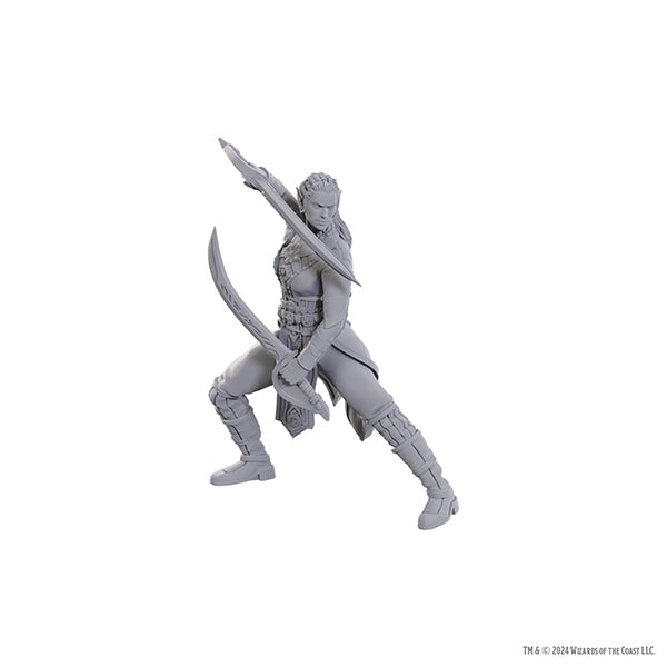 D&D Nolzur's Marvelous Miniatures: Special Edition Baldur's Gate 3- Jaheira & Halsin