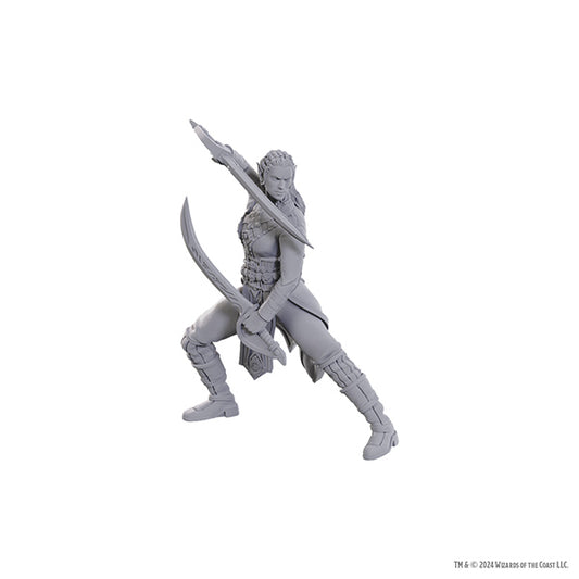 D&D Nolzur's Marvelous Miniatures: Special Edition Baldur's Gate 3- Jaheira & Halsin