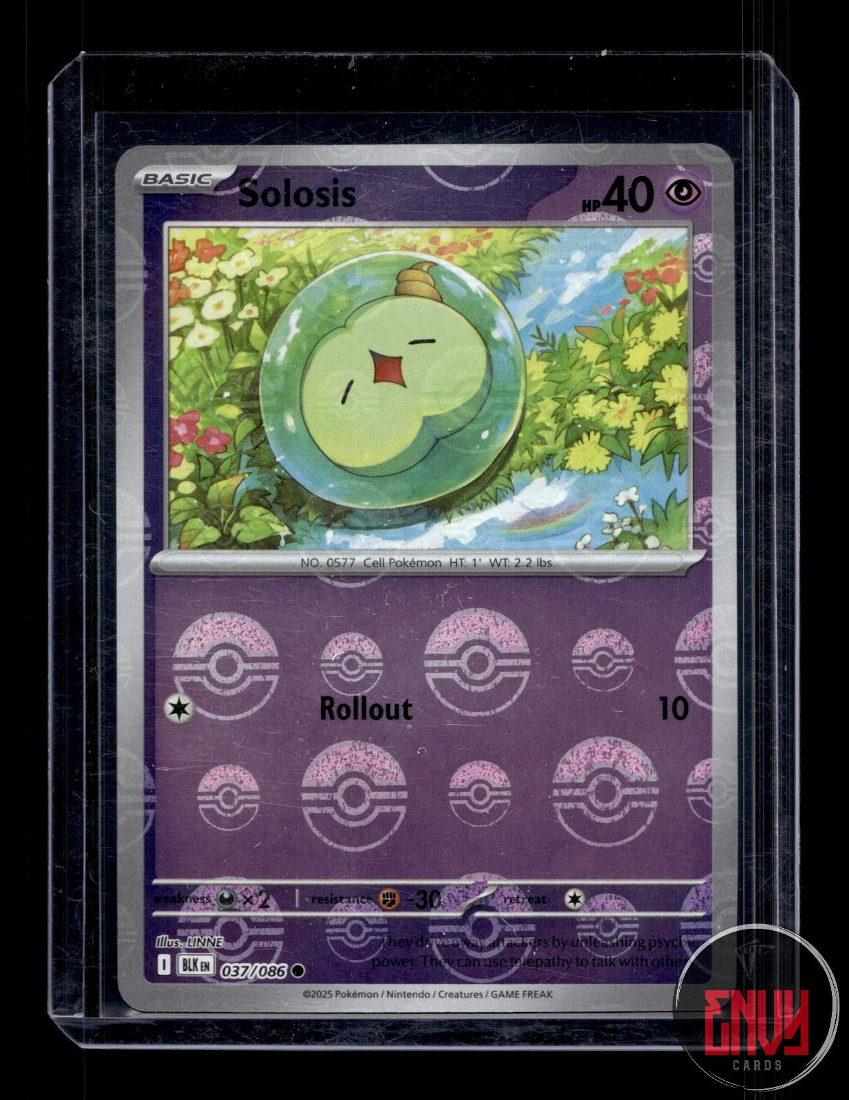 Solosis (Poke Ball Pattern) Near Mint 037/086 Common Black Bolt Pokemon Holo