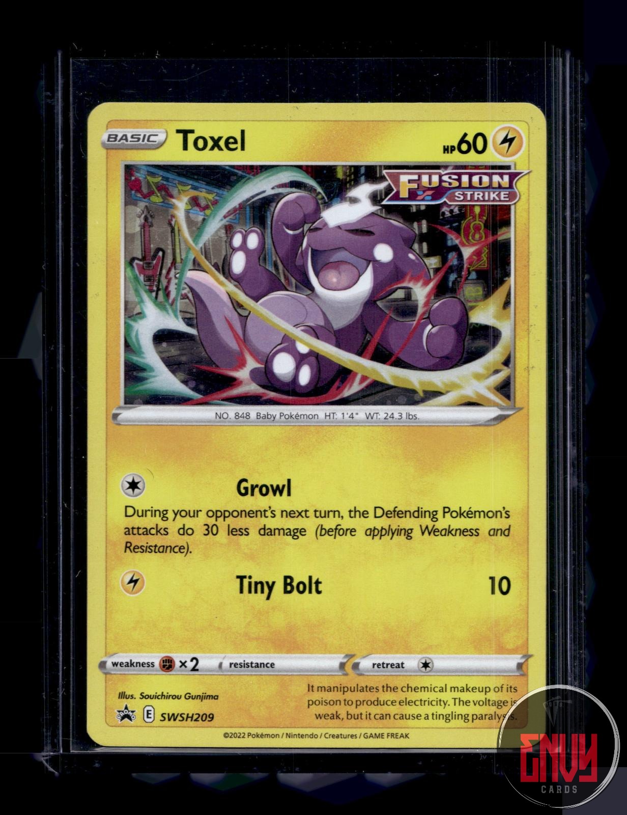 Toxel Lightly Played SWSH209 Promo Sword & Shield Promo Pokemon Holo