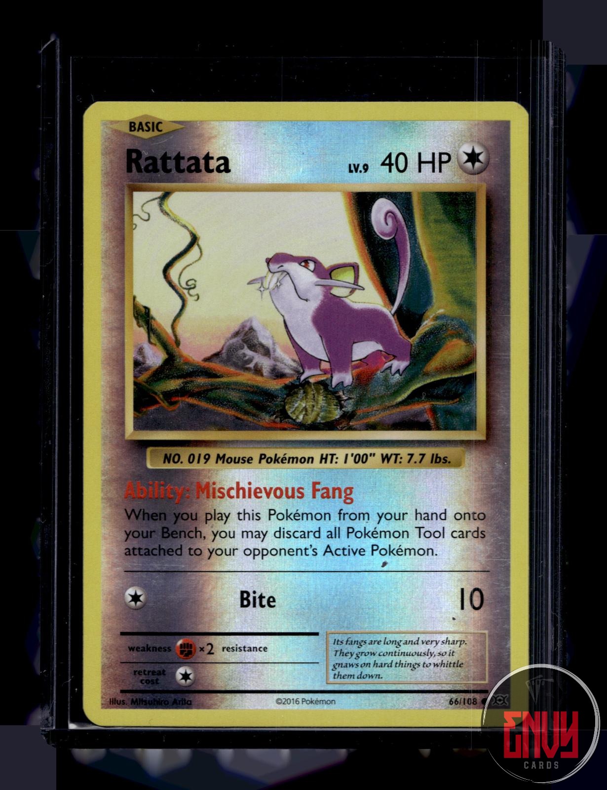 Rattata Lightly Played 66/108 Common Evolutions Pokemon Reverse Holo